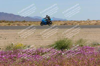 media/Mar-12-2023-SoCal Trackdays (Sun) [[d4c8249724]]/Turn 15 Inside Bloom (130pm)/